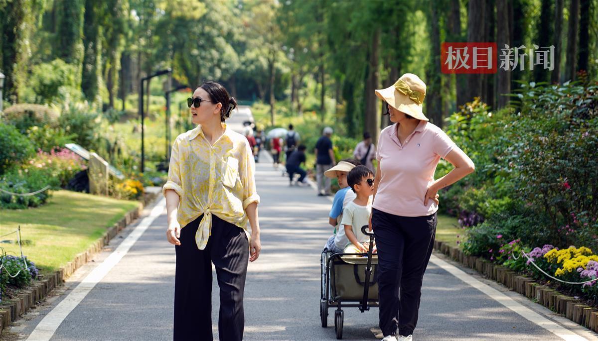 新莆京娱乐场官网大全